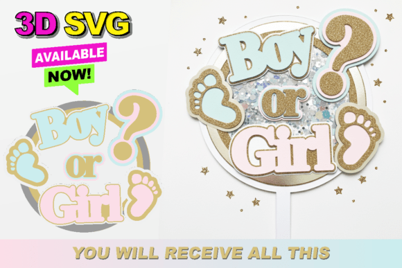 Boy or Girl Cake Topper Shaker Topper